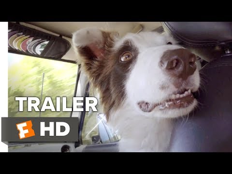 The Stray (2017) Trailer