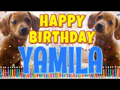 Happy Birthday Yamila! ( Funny Talking Dogs ) What Is Free On My Birthday