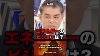 「エネルギー課題」今後のビジョンを柴山が熱弁する #政治 #政治家 #自民党 #ソーラーパネル #太陽光発電