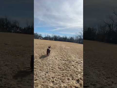 Run faster that your brother faster than your mother!