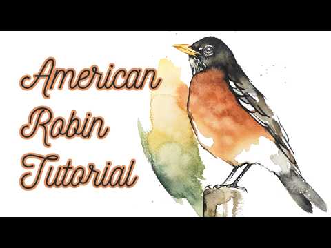 American Robin Watercolor Tutorial | From Sketch to Finished Painting