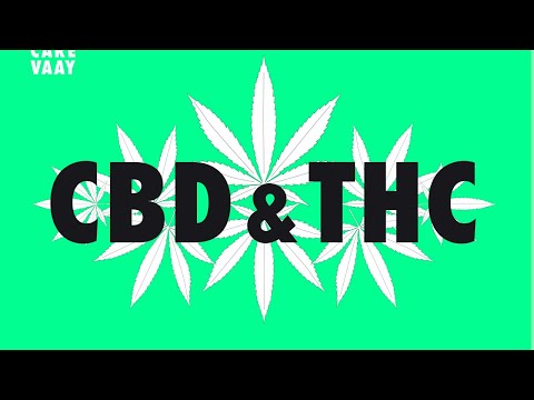 Was ist der Unterschied zwischen CBD und THC?