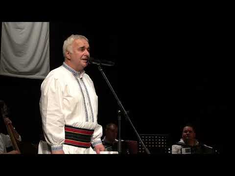 SAŠA DRAŽILOVIĆ SENA -  Fluarja în prunji a înflorit (  Drugo izvođenje )