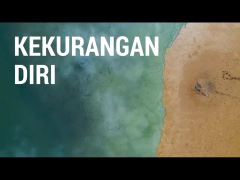 Afrodisiak yang kuat untuk pria Apakah basal mempengaruhi potensi