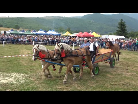 Parada cailor de la Gilau, Cluj 10 Iunie 2021 Nou!!!