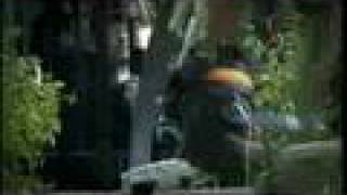 Assaltante de Banco.........Português...