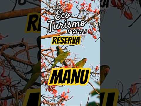 Impresionante a la vista Manu ♥️ #turismo #viajes #ecologia #peru #shorts