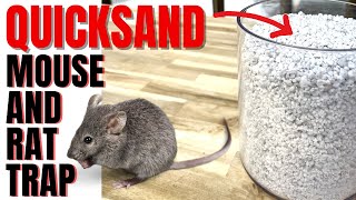 DIY Quicksand Mousetrap | No MOUSE OR RAT Can Escape