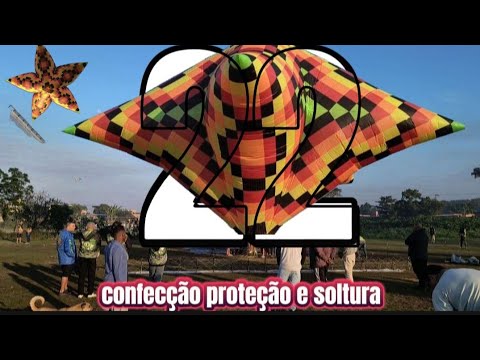 Production, projection and release of 22 stars