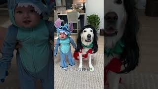 Download lagu Our Baby and Dog's Matching Halloween Costumes! mp3