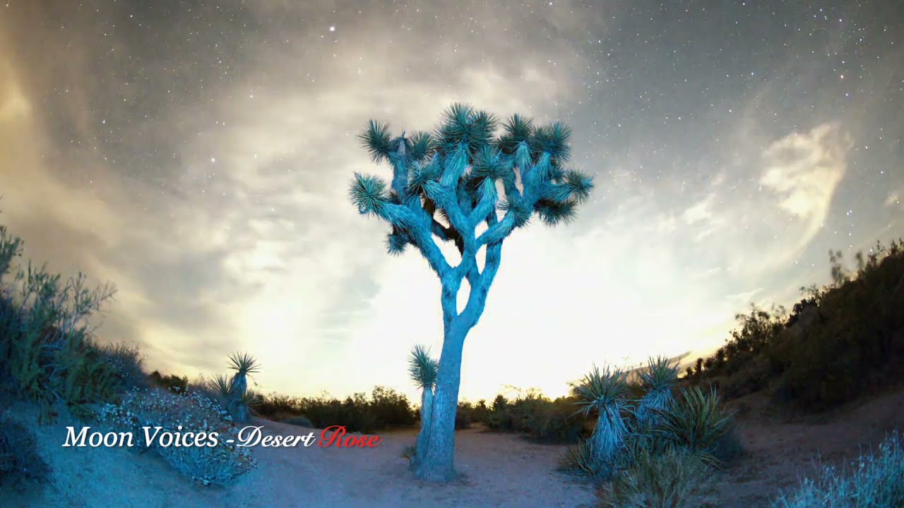 Promotional video thumbnail 3 for Juan T.