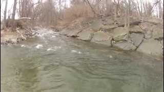 preview picture of video 'Under water Rainbow Trout in Naples Creek NY'