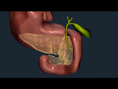 Quello che può esser mangiato se ha lyambliya Come incidere parassiti allacquaforte da un fegato