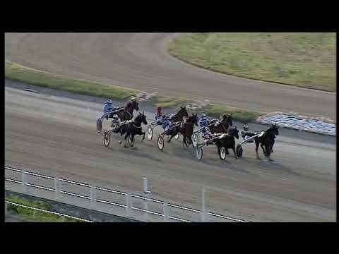 Trotto 17/07/2020 - 1ª prova di qualifica