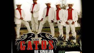 Los Gatos De Sinaloa