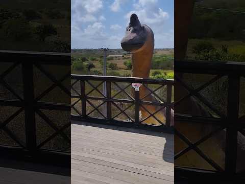 Parque Mandacaru, Lagoa De Velhos/RN