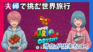 【Switch】【夫婦実況】滑空が下手「スーパーマリオ オデッセイ」【アクション】#11