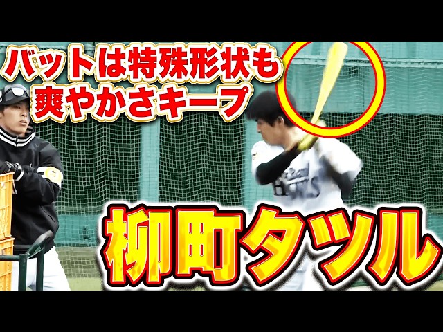 【特殊なタツル】柳町達『面が平なクリケットバットで熱心に振り込む』