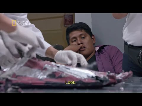 Czegoś takiego funkcjonariusze jeszcze nie widzieli [Alarm na lotnisku]