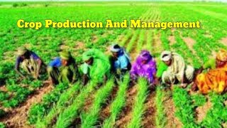 Crop Production And Management Class 8 Hindi Explanation Animated NCERT
