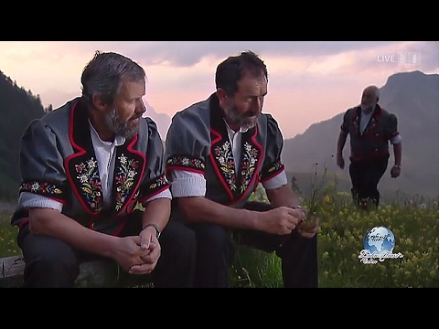 Jodlerklub Wiesenberg - Blume