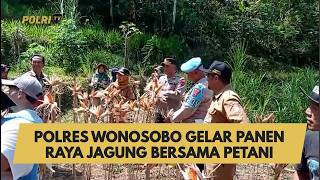 Download lagu WONOSOBO POLICE HOLD MAJOR CORN HARVEST WITH FARMERS mp3