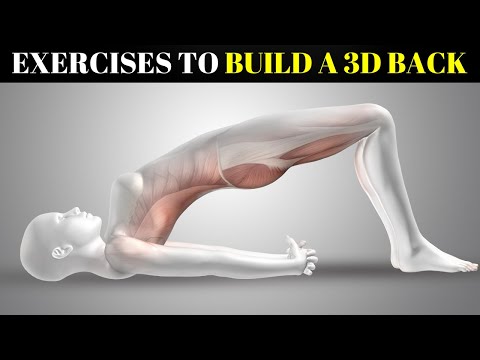6 Effective Exercises To Build A 3D Back (Using Sciences)
