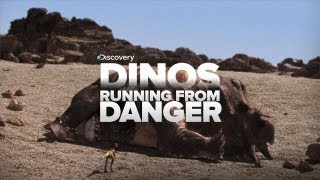 Dinosaurs Running From Danger!