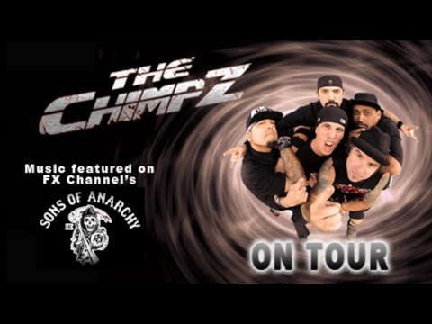 Chronicle of The Chimpz