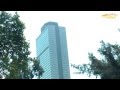 Reportaje Sobre La Torre De Pemex