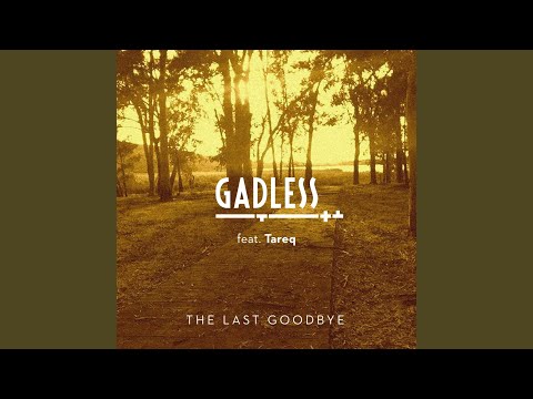 The Last Goodbye