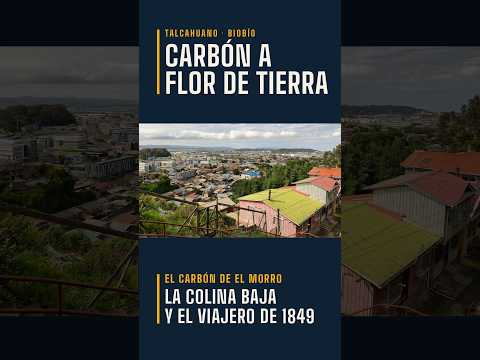 Talcahuano Streets | Carbón a flor de tierra en Talcahuano