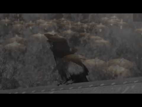 DET GAMLE BESATT - Pogrzeb (Official Video)