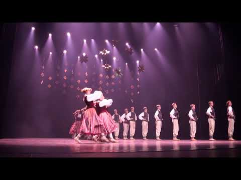 "Visi vēji"  Gintam Baumanim veltītajā piemiņas koncertā MĒNESS SAVAS ZVAIGZNES SKAITA