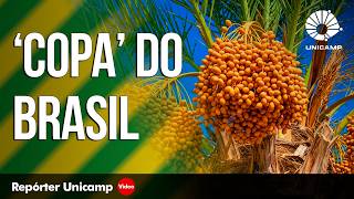 Miniatura do vídeo
