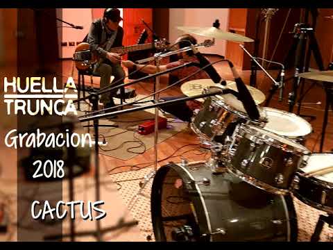 Cactus - Huella Trunca