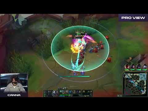 Canna Pro View | DK vs NS | LCK Summer Week 2 Day 5