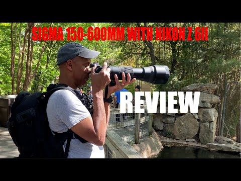 SIGMA 150-600mm TEST | Verwendung mit der Nikon Z6 II (ZWEITER BETRACHTUNGSEINDRUCK!)