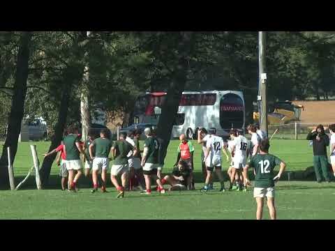 torneo m17 URMDP @sanignaciorugby6304 @loscardosrugbyclub8136