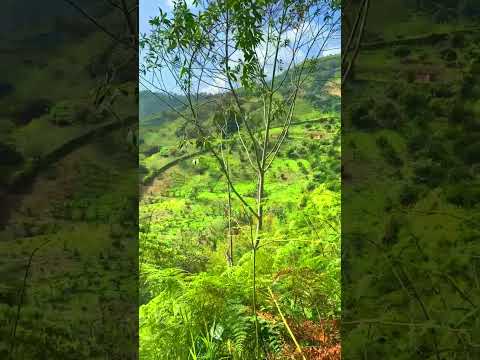 MONTAÑAS Naturaleza Colombia Vergara Cundinamarca