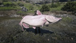 Arthur caught the legendary GIANT catfish which was cut out of the game