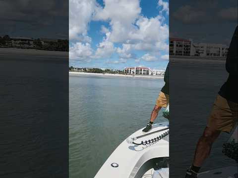 Shark Caught on Charter — New Smyrna Beach Fishing