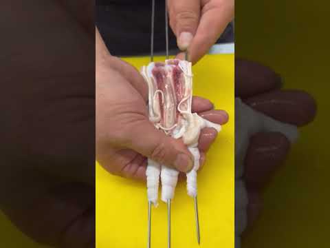 How to make chicken paws | chicken feet BBQ | murgi ky panjy esey recipe|#ownchoice #streetfoodpk