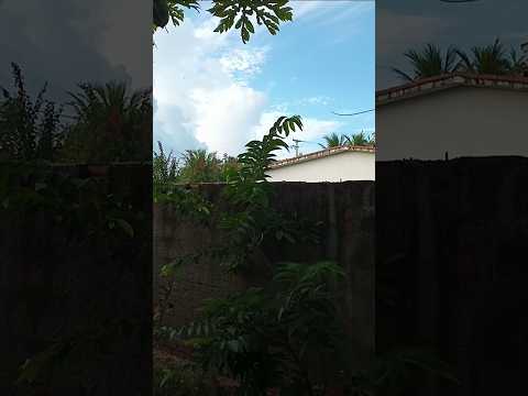 dia ensolarado fresquinho em Barra de Sirinhaém litoral sul de Pernambuco 🇧🇷