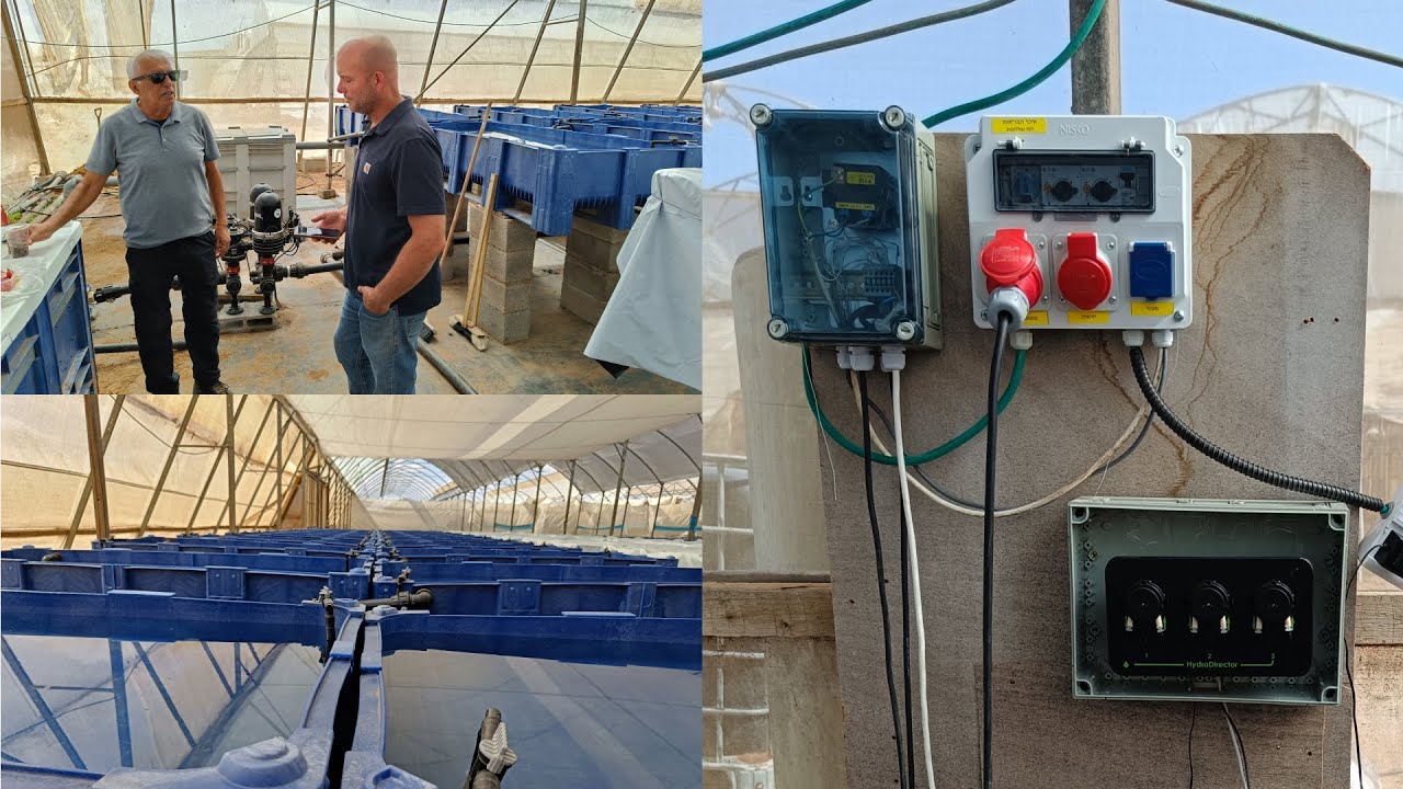 Transforming DWC Duckweed Cultivation:Experience with greenhouse automation system GrowDirector 3PRO