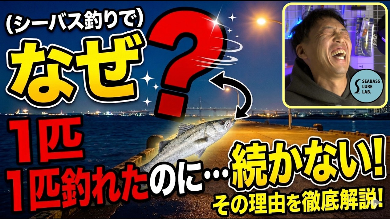 【徹底考察】一匹釣れたのに！その後が続かない理由わかっちゃいました！【シーバス】