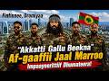 Af Gaaffii Akkamitti Akka Gallu Beekna Jaal Marroo Dirribaa