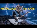 MEWTALLICA Scratch Destroy If Metallica Were Cats Official Music Video