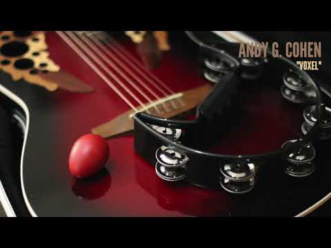 Andy G. Cohen - Voxel