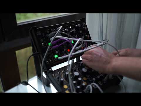 Make Noise 0-Coast + Strega + Dual Stand image 4